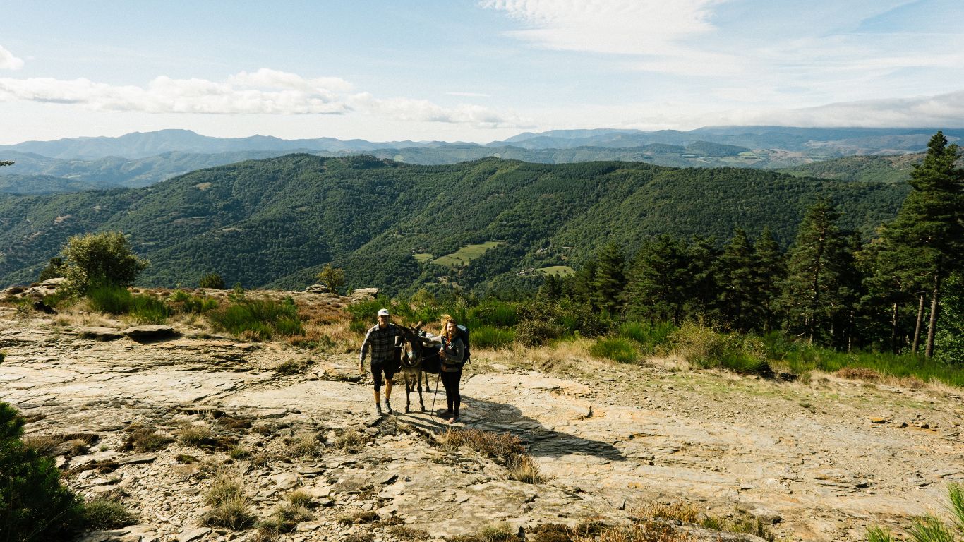 cévennes stevenson
