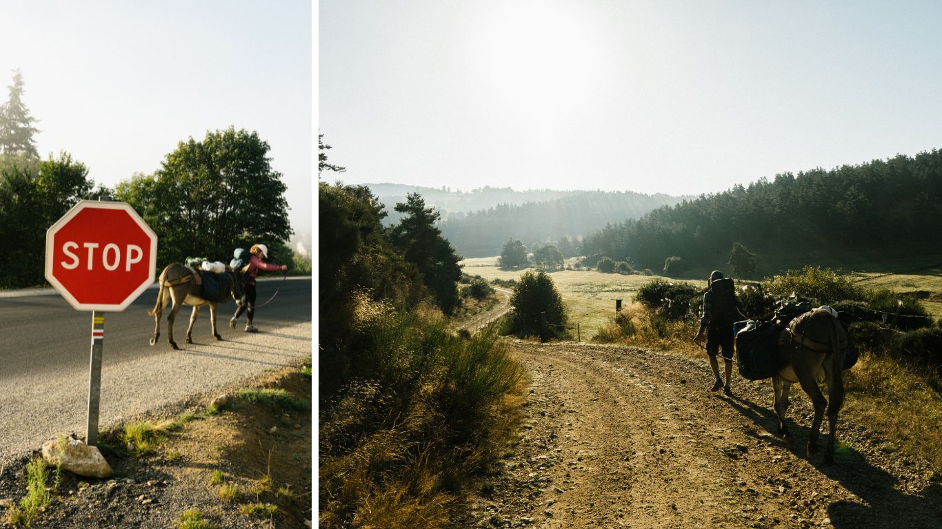 stevenson chemin
