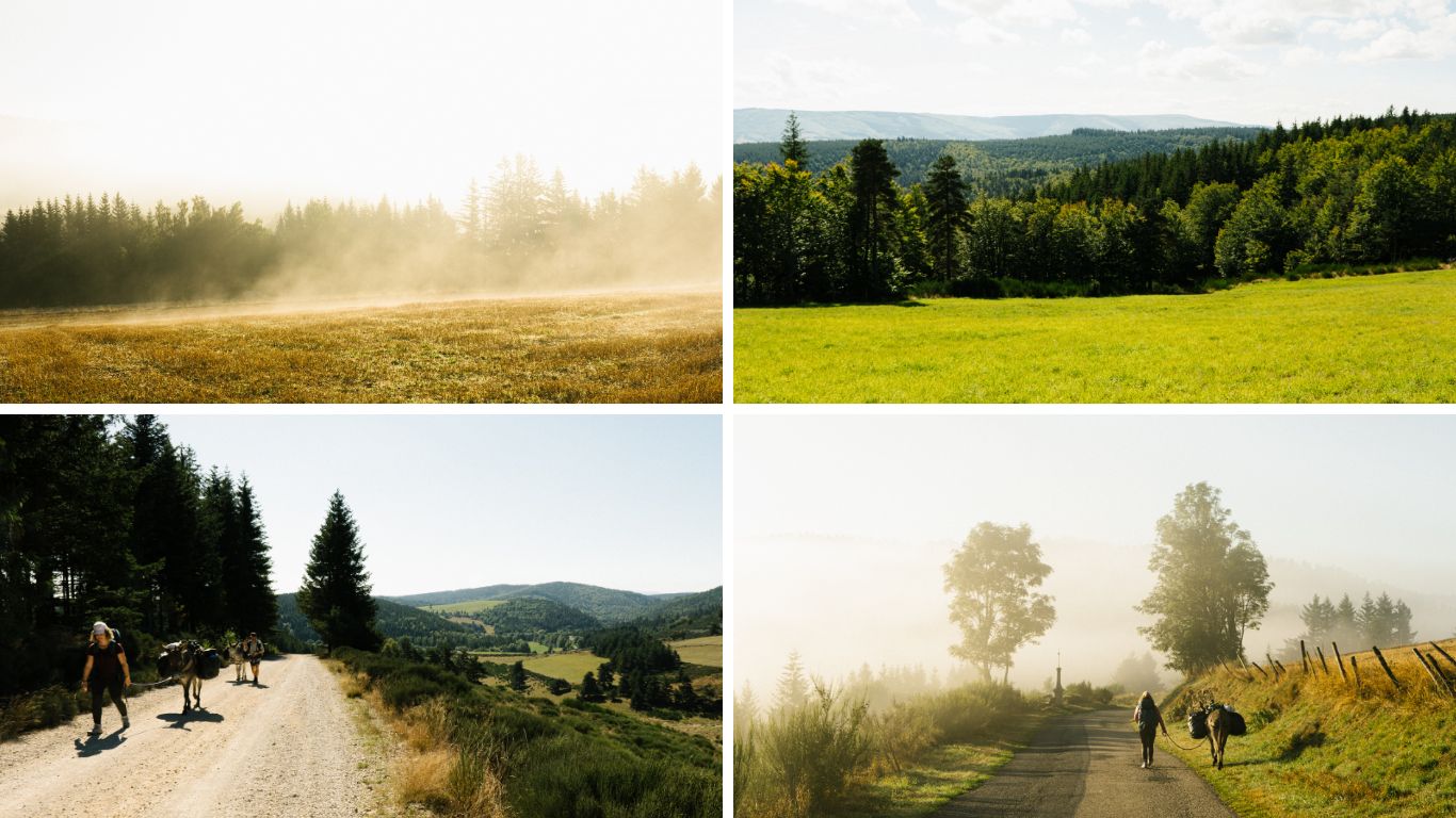 randonnée nature